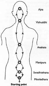 Ida and Pingala Nadis crisscrossing at the chakras